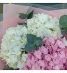 Букет гортензий с эвкалиптом 4