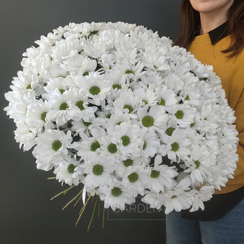 Букет из 25 хризантем